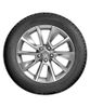 Nokian Tyres (Ikon) Nordman 7 купить в KOLOBOX
