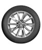 Nokian Tyres (Ikon) Nordman 7 SUV 225/70 R16 107T (XL) заказать