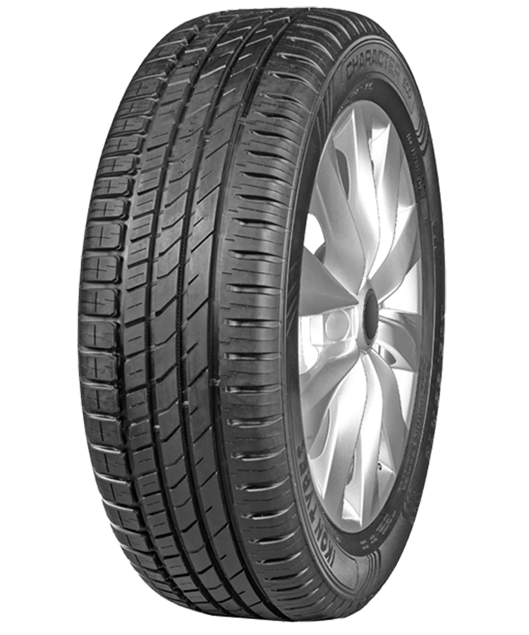 Ikon (Nokian Tyres) Character Eco (Nordman SX3) 205/60 R16 92H