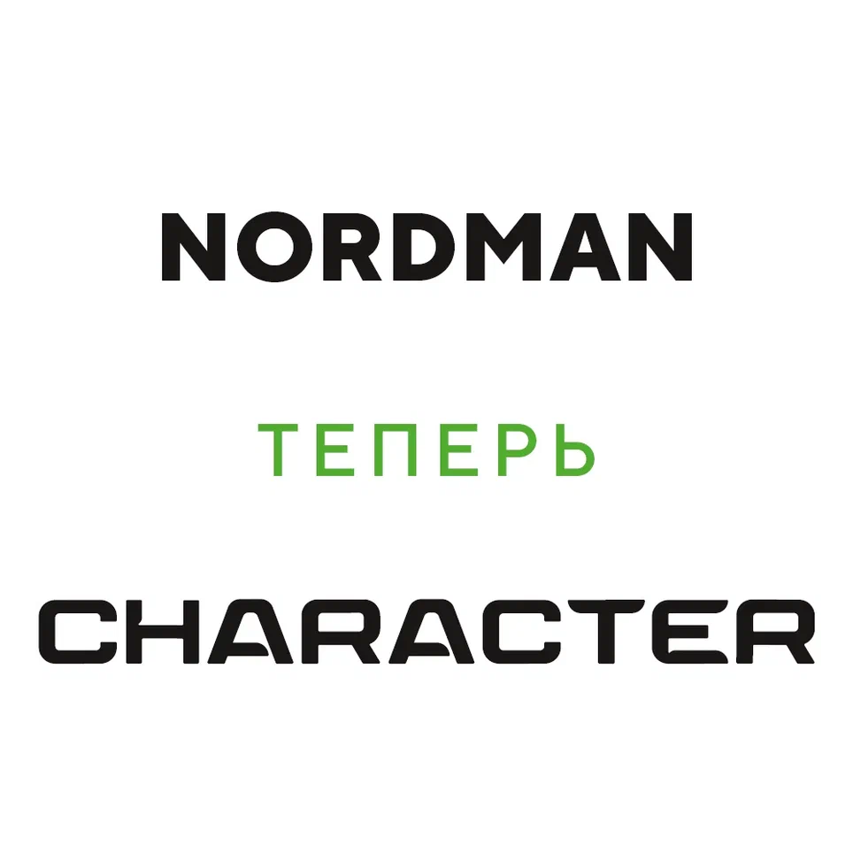 Ikon (Nokian Tyres) Character Eco (Nordman SX3) 205/60 R16 92H цена