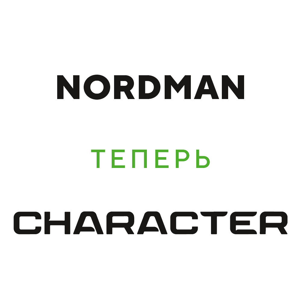 Ikon (Nokian Tyres) Nordman RS2 195/55 R16 91R (XL) цена